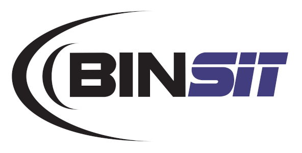 BINSIT COMPONENTES AUTOMOTIVOS LTDA